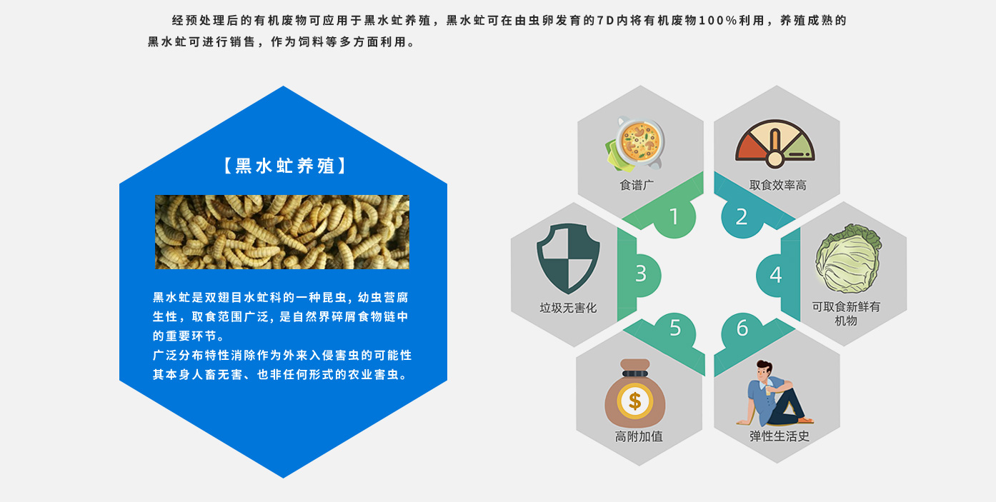 有机废物预处理3.jpg